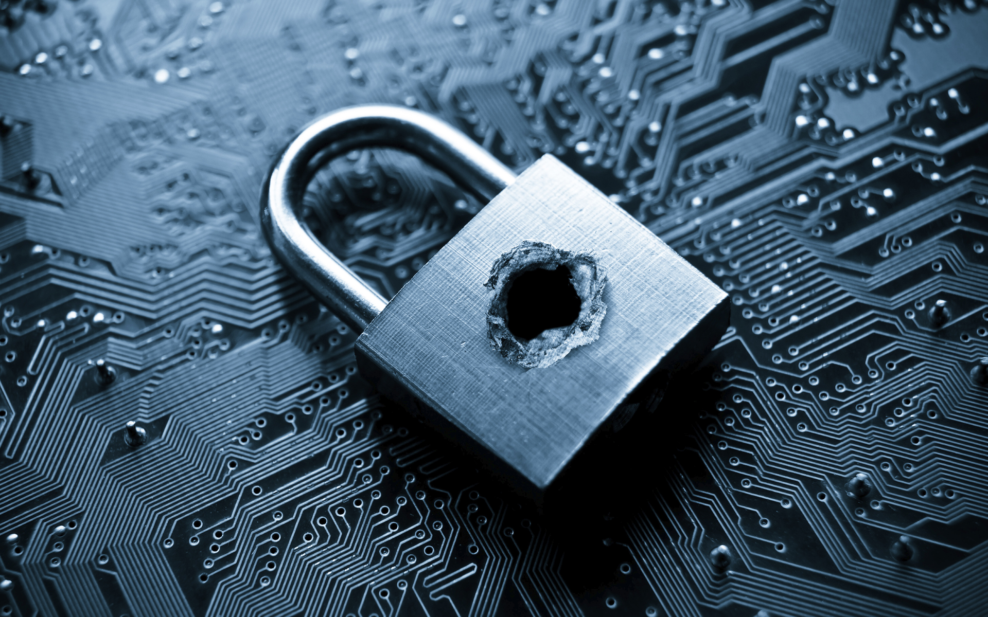 Company and computer information and network security image