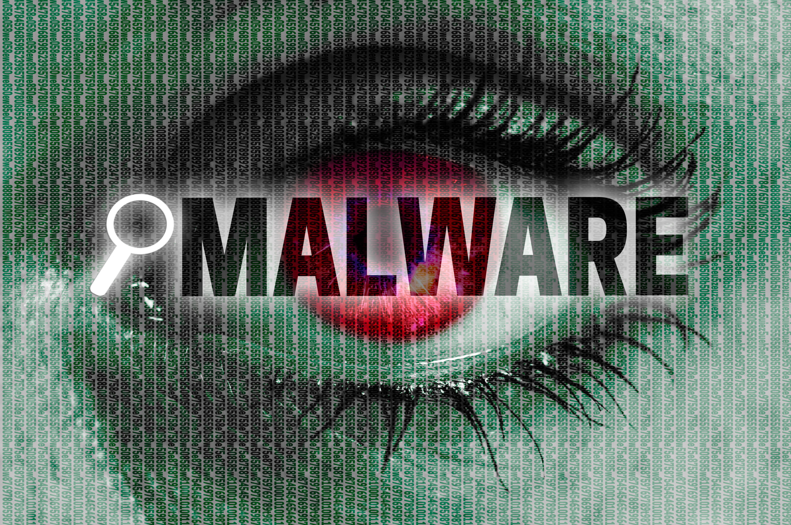 What To Do If Your Business Suffers a Malware Attack